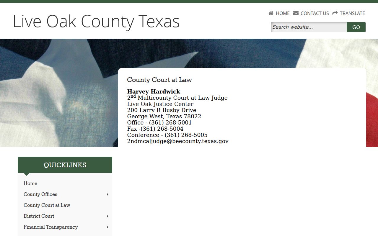 Live Oak County criminal court case page for the 2nd Multicounty Court at Law